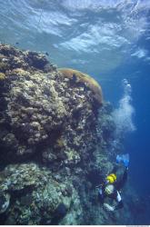 Photo Reference of Umbria Wingate Reef - Sudan